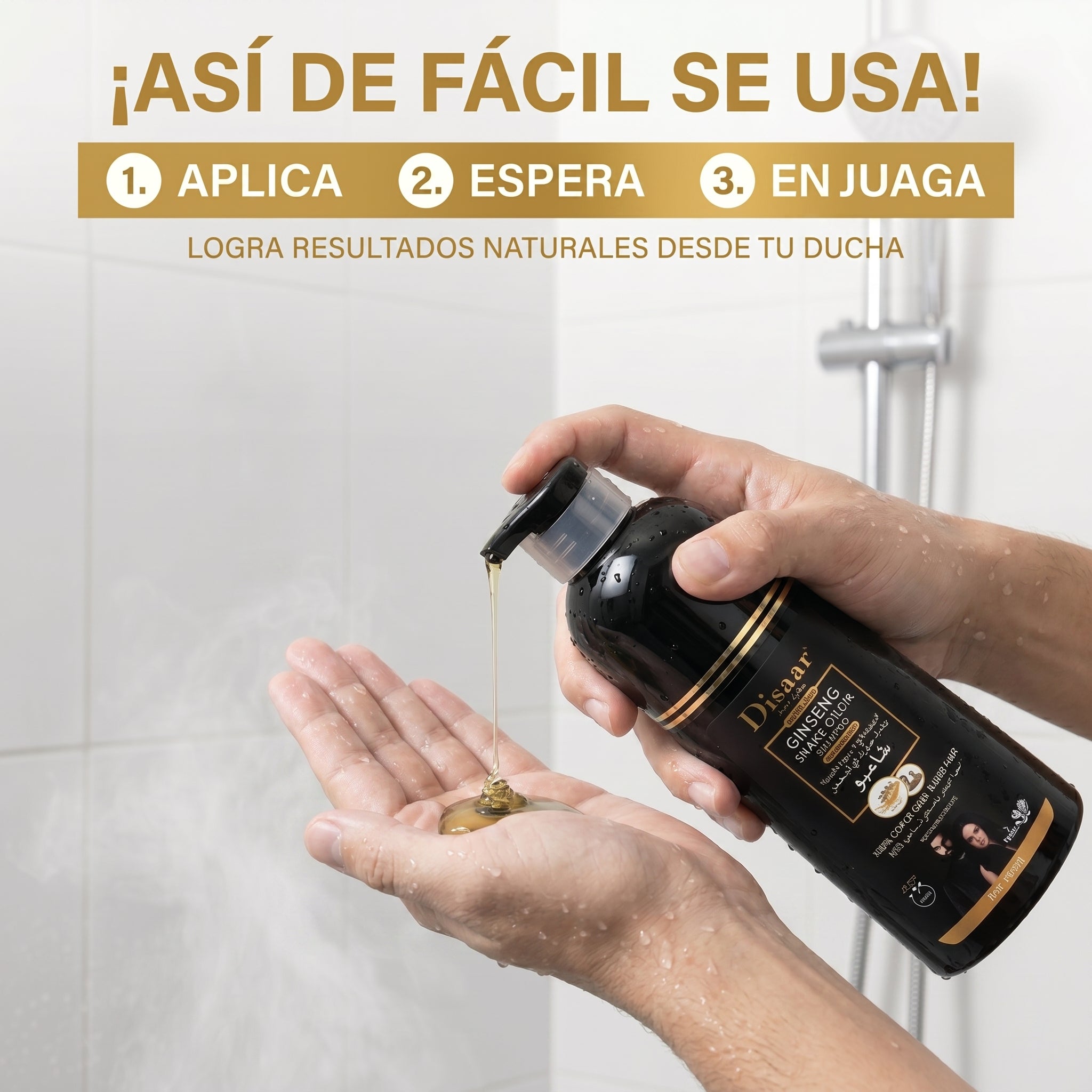 Encabezado